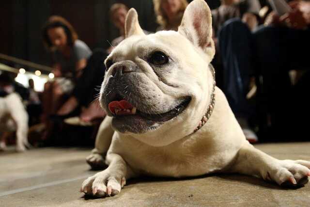Photo from Forbes.com