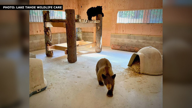 Photo from cbs5.com