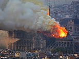 Photo from Mail Online