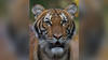 Photo from WBNS-10 TV