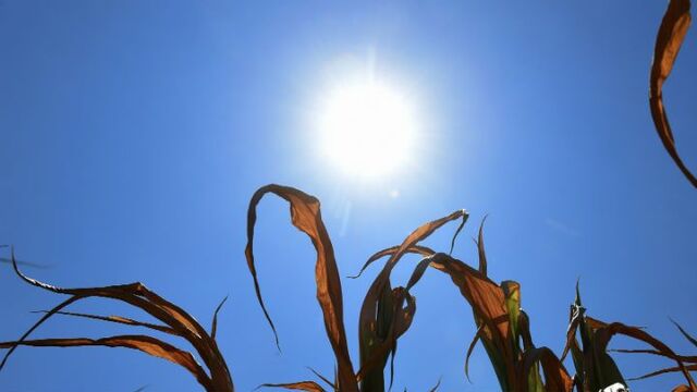 Photo from cbs5.com