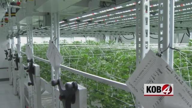 Photo from KOB.com - Eyewitness News 4
