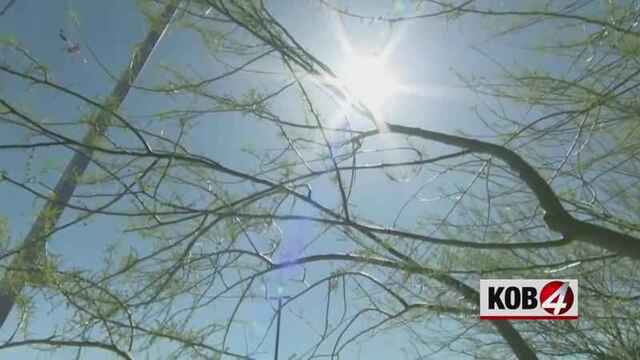 Photo from KOB.com - Eyewitness News 4