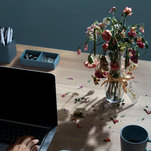 Photo from New York Times