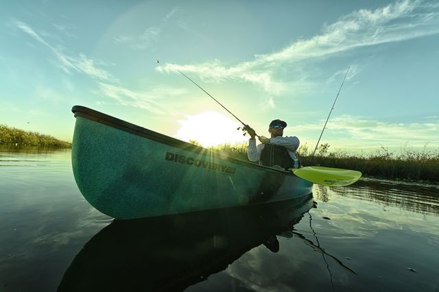 Photo from USA Today