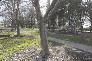Photo from Lodi News-Sentinel