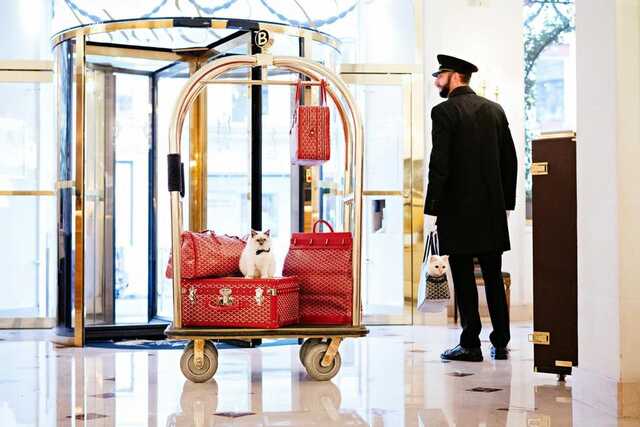 Photo from Forbes.com