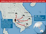 Photo from Mail Online