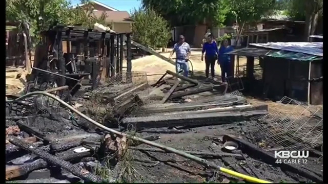 Photo from cbs5.com