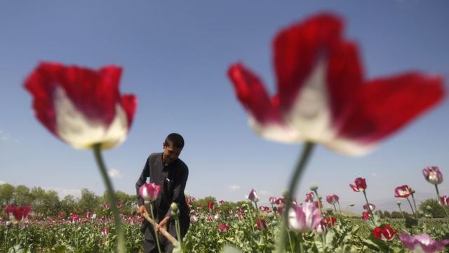 Photo from Voice of America