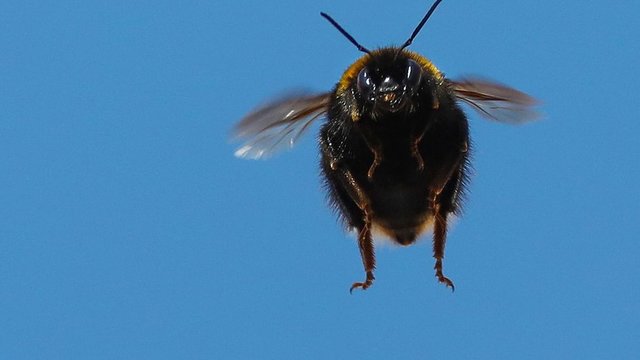 Photo from BBC News