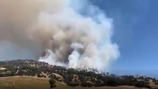Photo from CBS13 - CW31