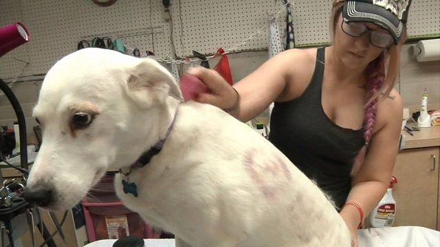 Photo from KTEN.com