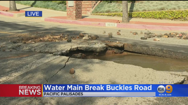 Photo from cbs2.com
