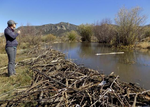 Photo from Boulder Daily Camera