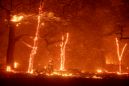 Photo from Yahoo! News
