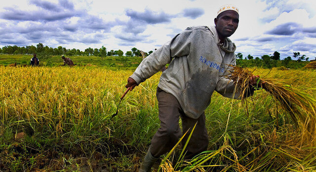 Photo from UN News Centre