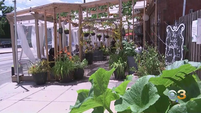 Photo from cbs3.com